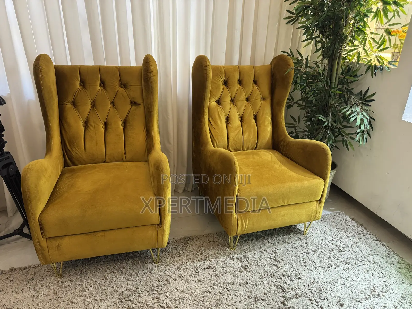 Slight Used Sofa