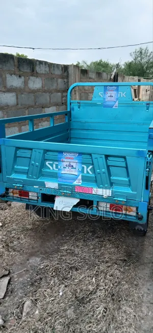 New Tricycle 2025