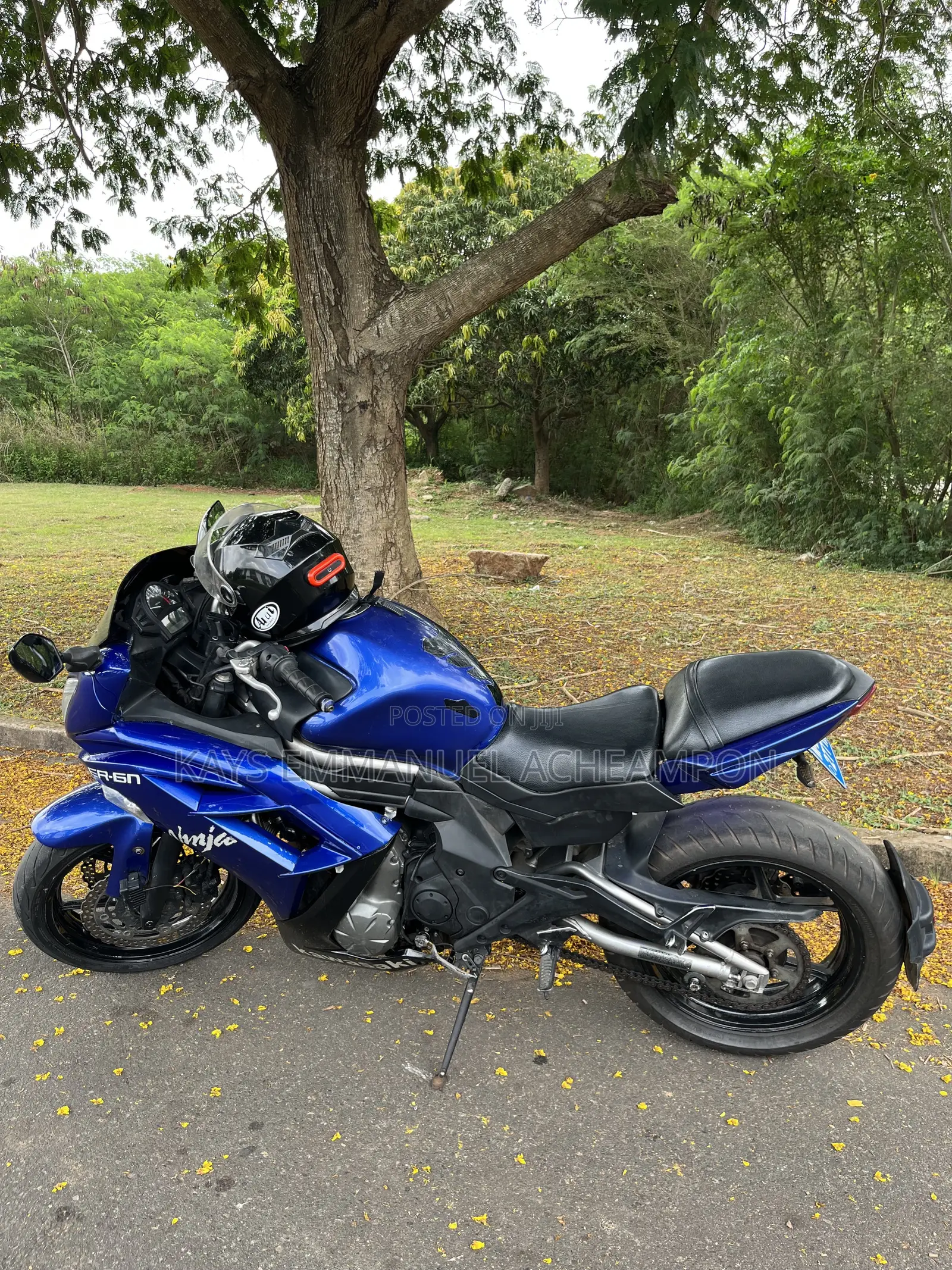 Kawasaki Ninja 650 2016 Blue