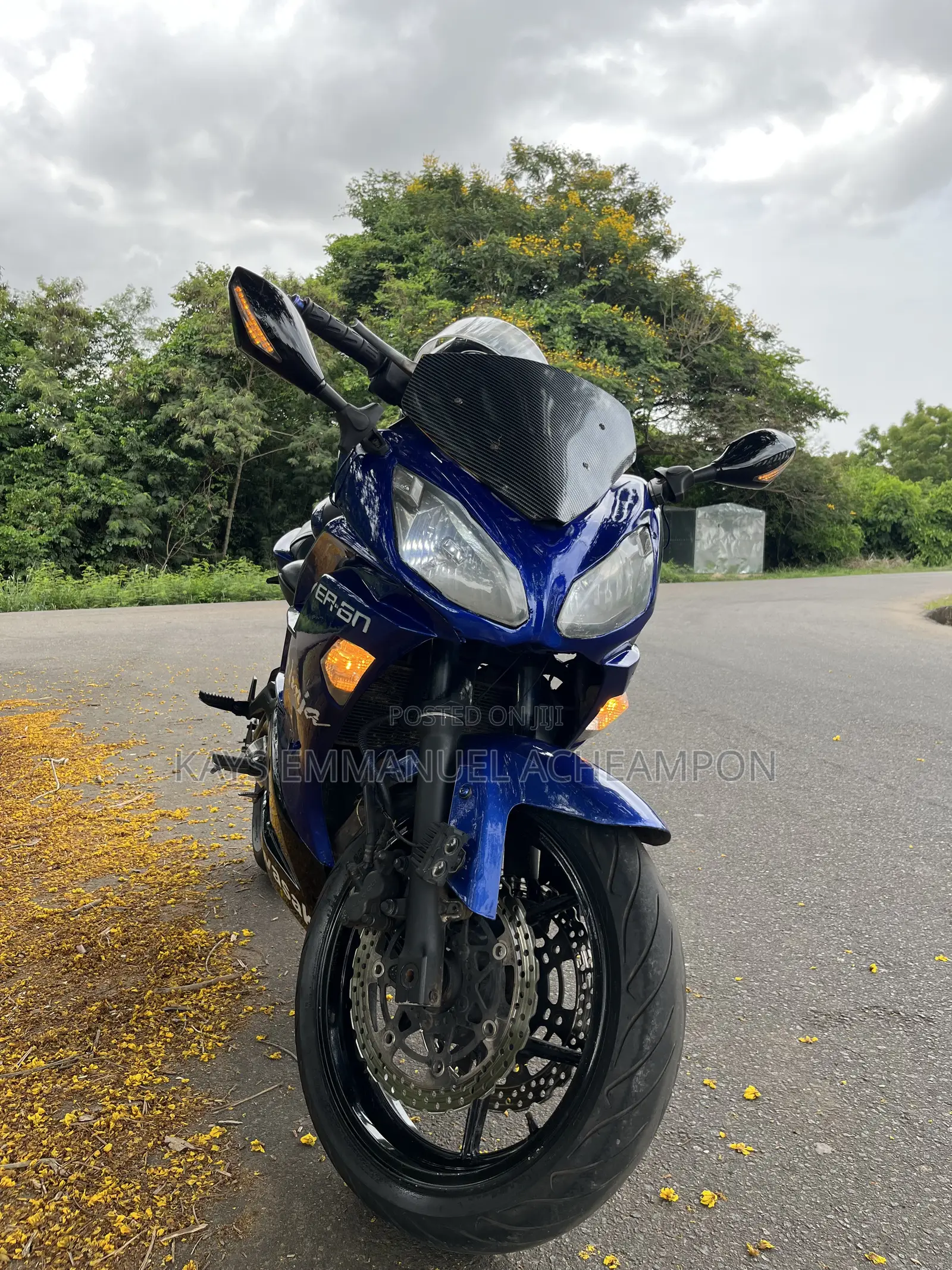 Kawasaki Ninja 650 2016 Blue