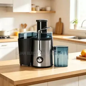 Large Caliber Automatic Electric Juicer