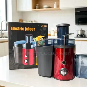 Large Caliber Automatic Electric Juicer