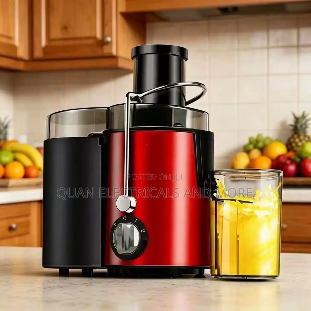Large Caliber Automatic Electric Juicer