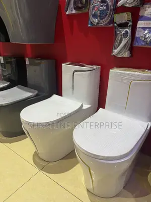 Luxury White and Gold Water Closet