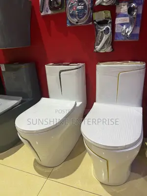 Luxury White and Gold Water Closet