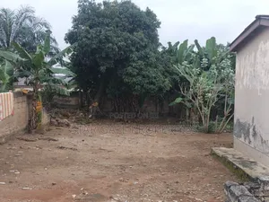 Mini Flat in Buokrom Estate B, Kumasi Metropolitan for rent