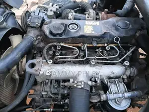 Hyundai Mighty