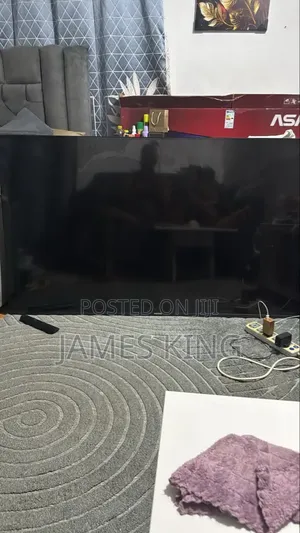 Asano 65" Broken Screen