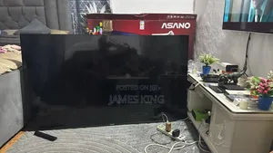 Asano 65" Broken Screen