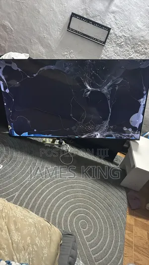 Asano 65" Broken Screen
