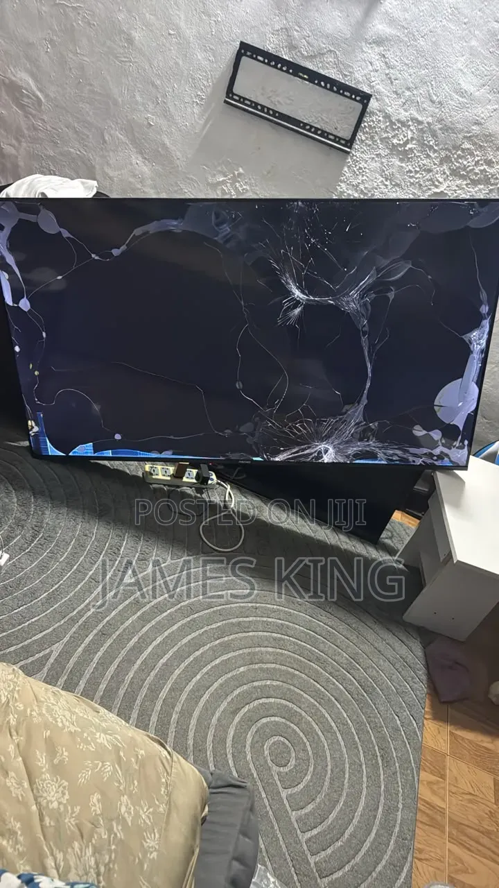 Asano 65" Broken Screen