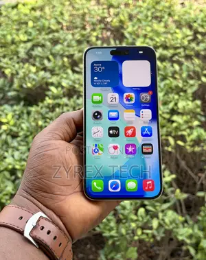 Apple iPhone 15 Pro Max 256 GB Silver