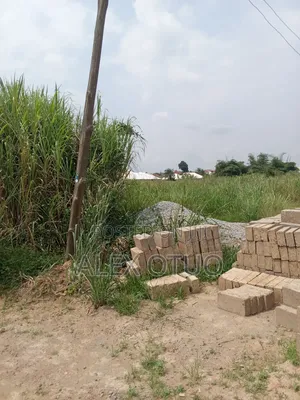 Plot of Land Plus Sand and Stone Sepaase Amoabeng