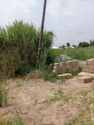 Plot of Land Plus Sand and Stone Sepaase Amoabeng