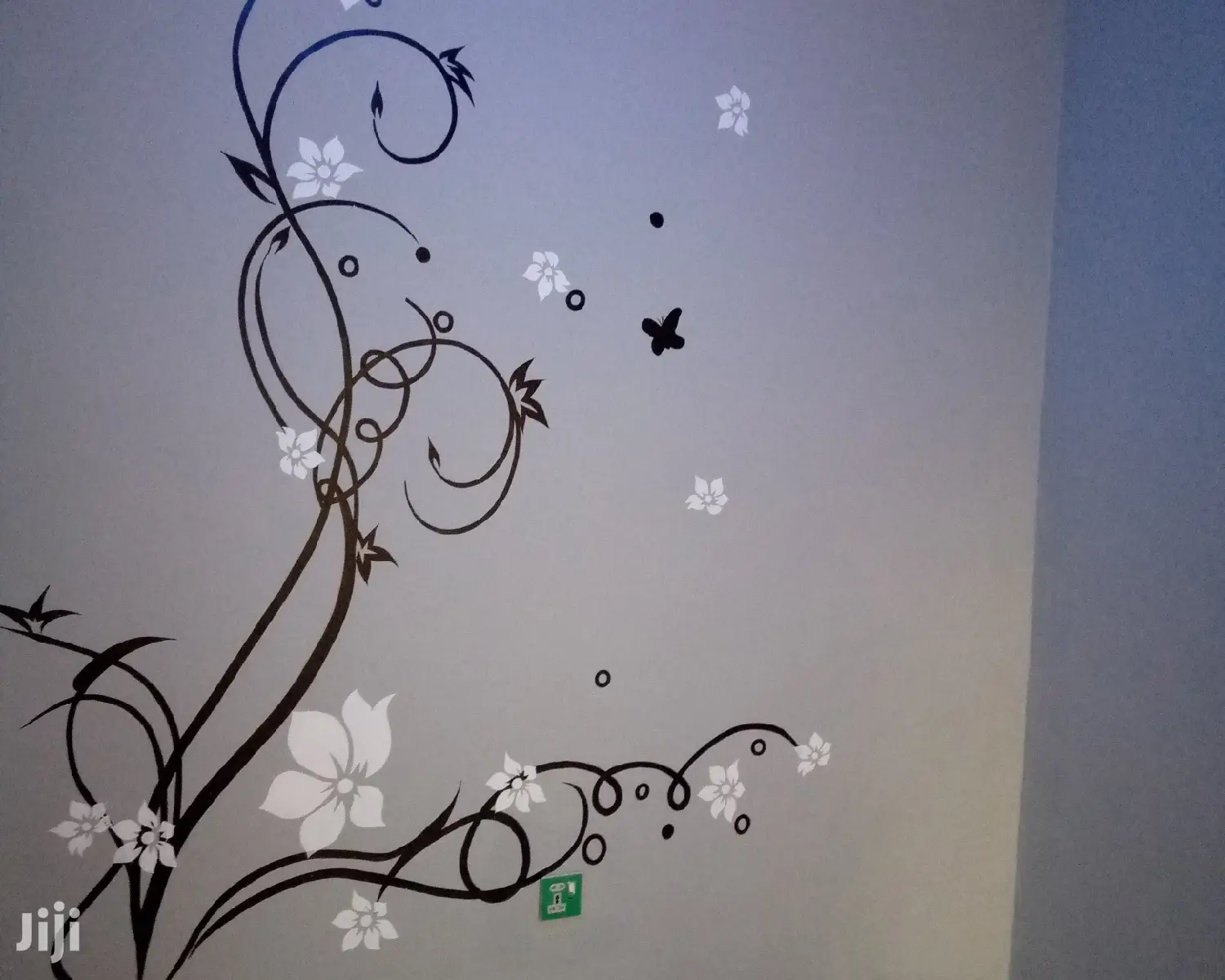 Professional Painter N Designs
