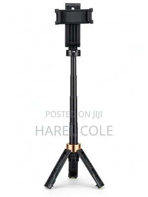 Selfie Stick