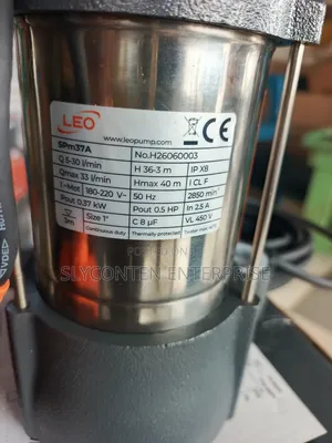 Leo 0.5hp Submersible Water Pump for Clean Water