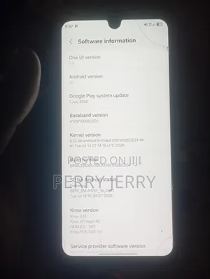Samsung Galaxy A17 128 GB Black