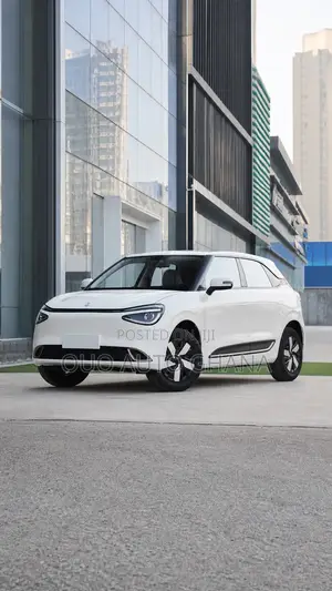 Dongfeng Nammi 01 2025 White