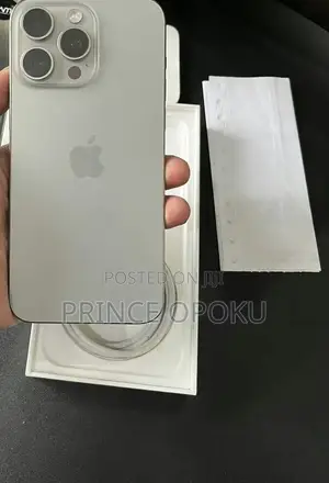 Apple iPhone 15 Pro Max 256 GB Gray