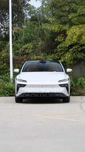 Dongfeng Yipai 008 2025 Silver
