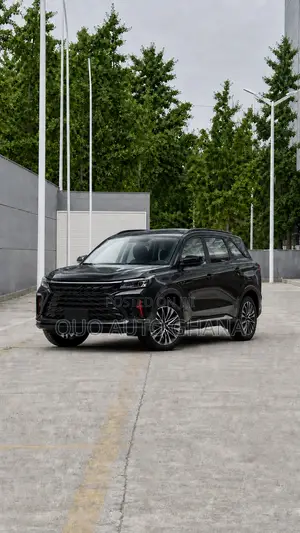 Dongfeng Captain 2025 Black