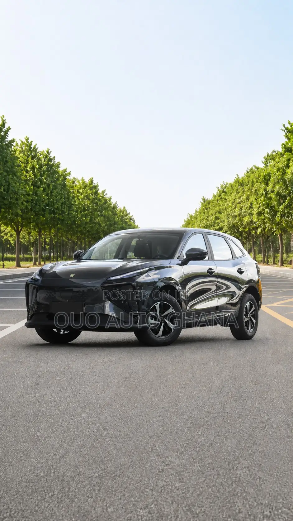 Forthing Leiting 2024 Black