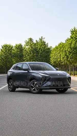 Forthing Leiting 2024 Black