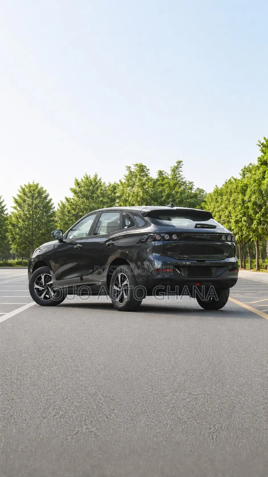 Forthing Leiting 2024 Black