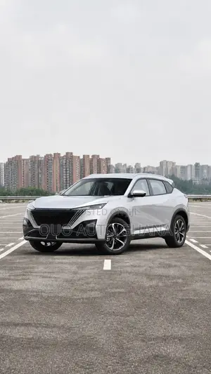 Aeolus Haohan 2023 Gray