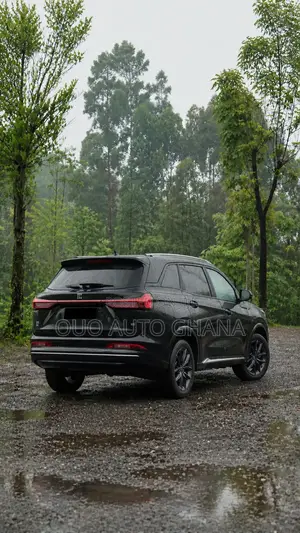 Dongfeng Rich 7 2024 Black