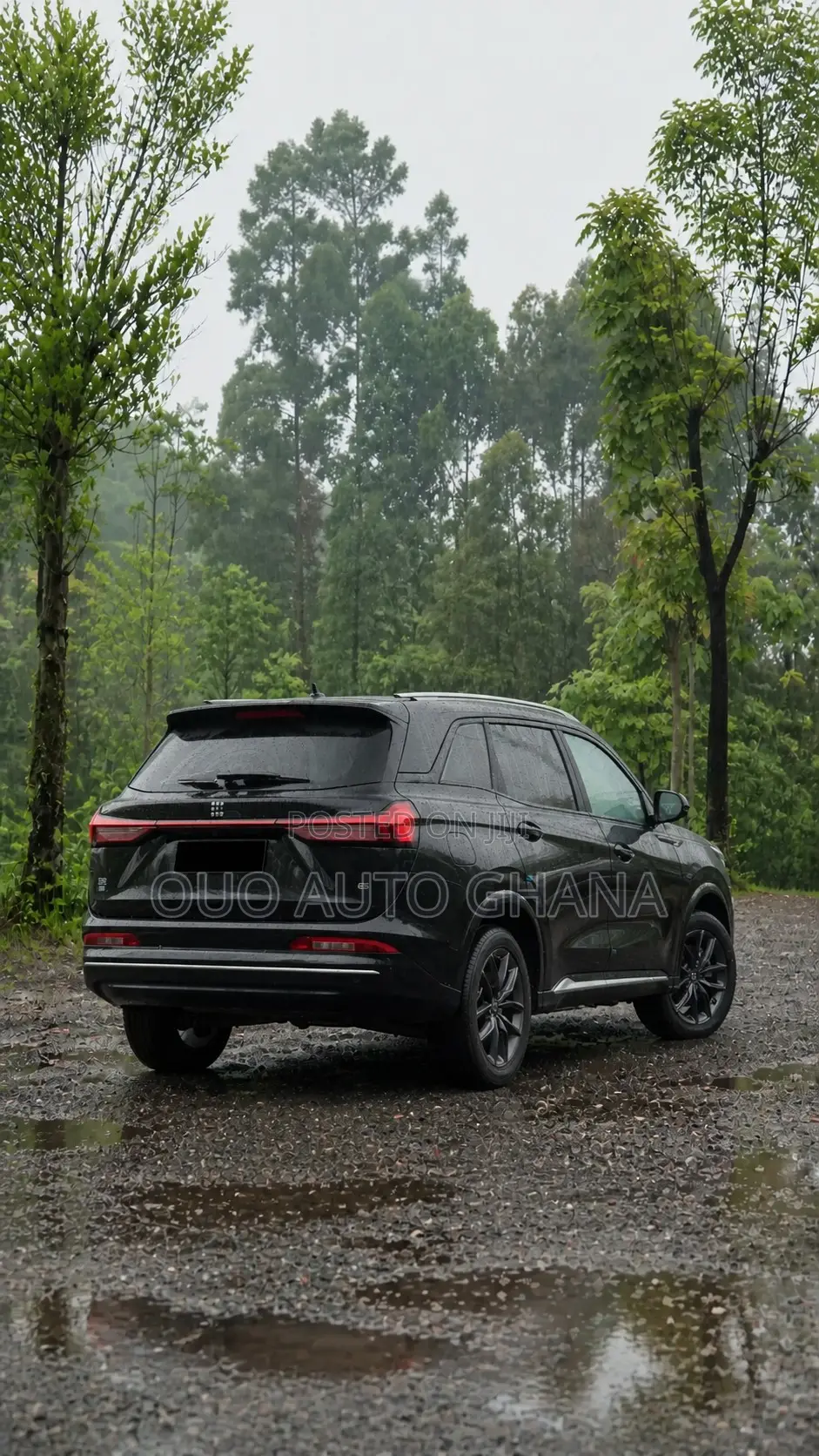 Dongfeng Rich 7 2024 Black