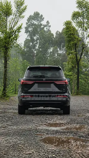 Dongfeng Rich 7 2024 Black