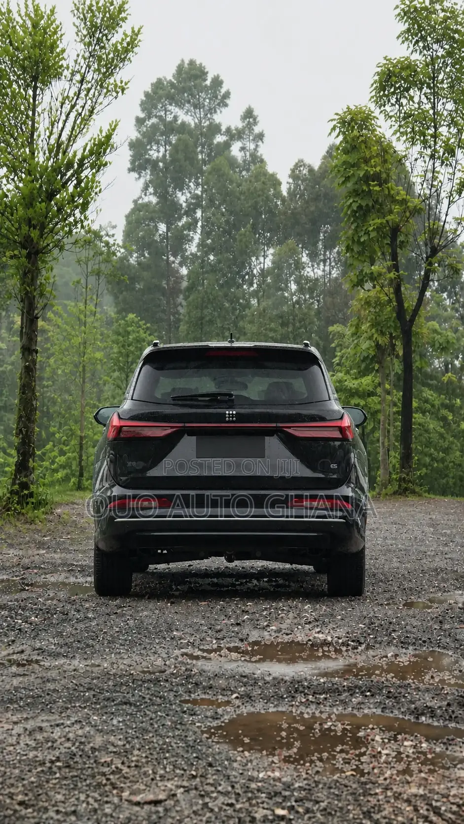 Dongfeng Rich 7 2024 Black