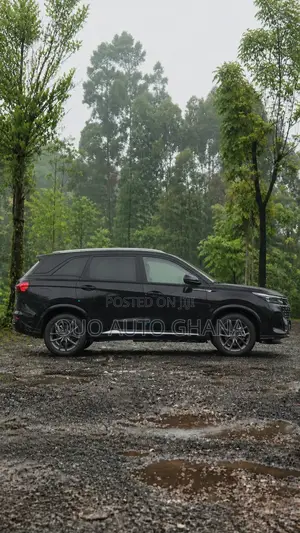 Dongfeng Rich 7 2024 Black