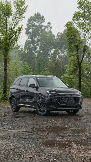 Dongfeng Rich 7 2024 Black