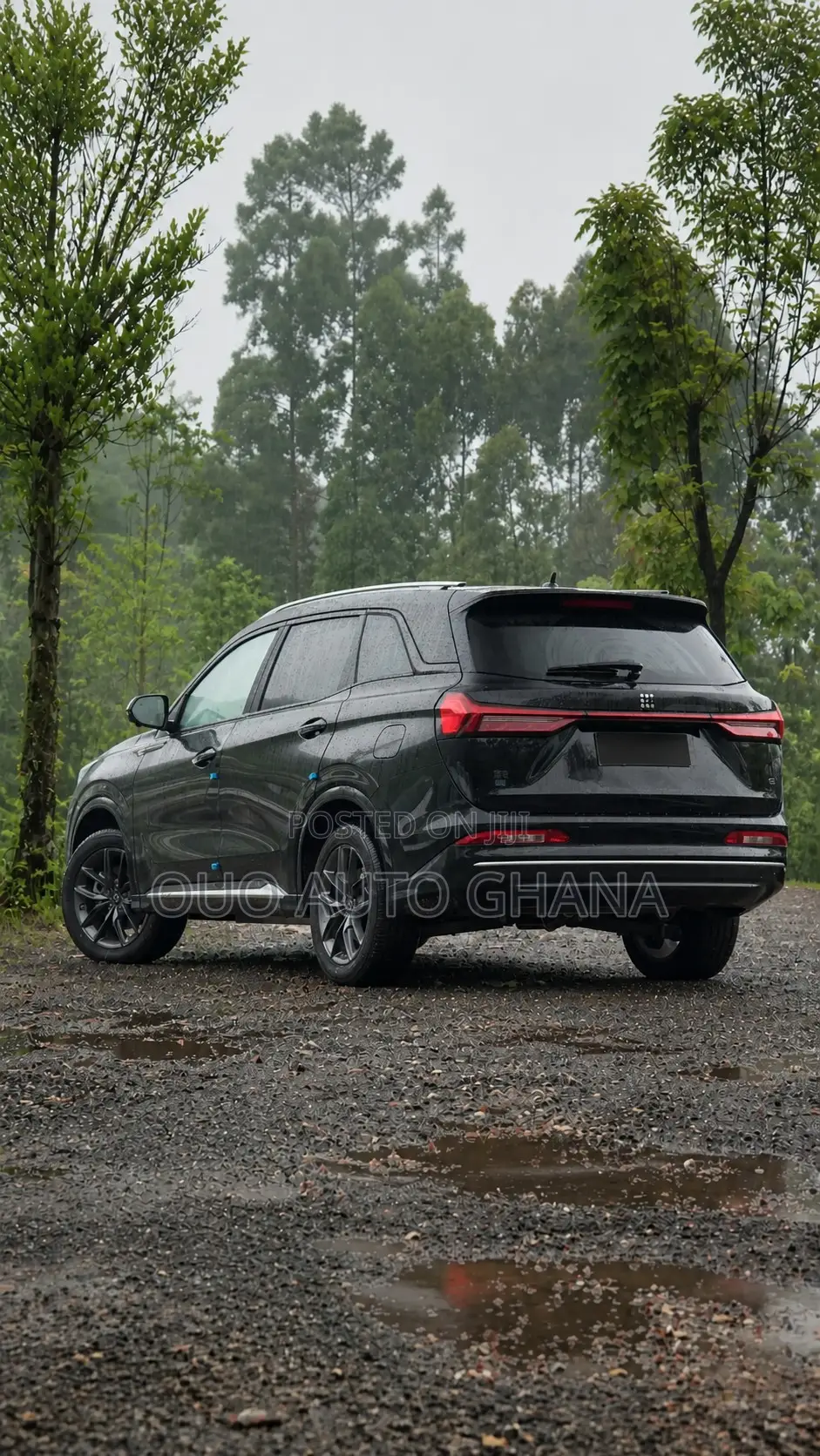 Dongfeng Rich 7 2024 Black
