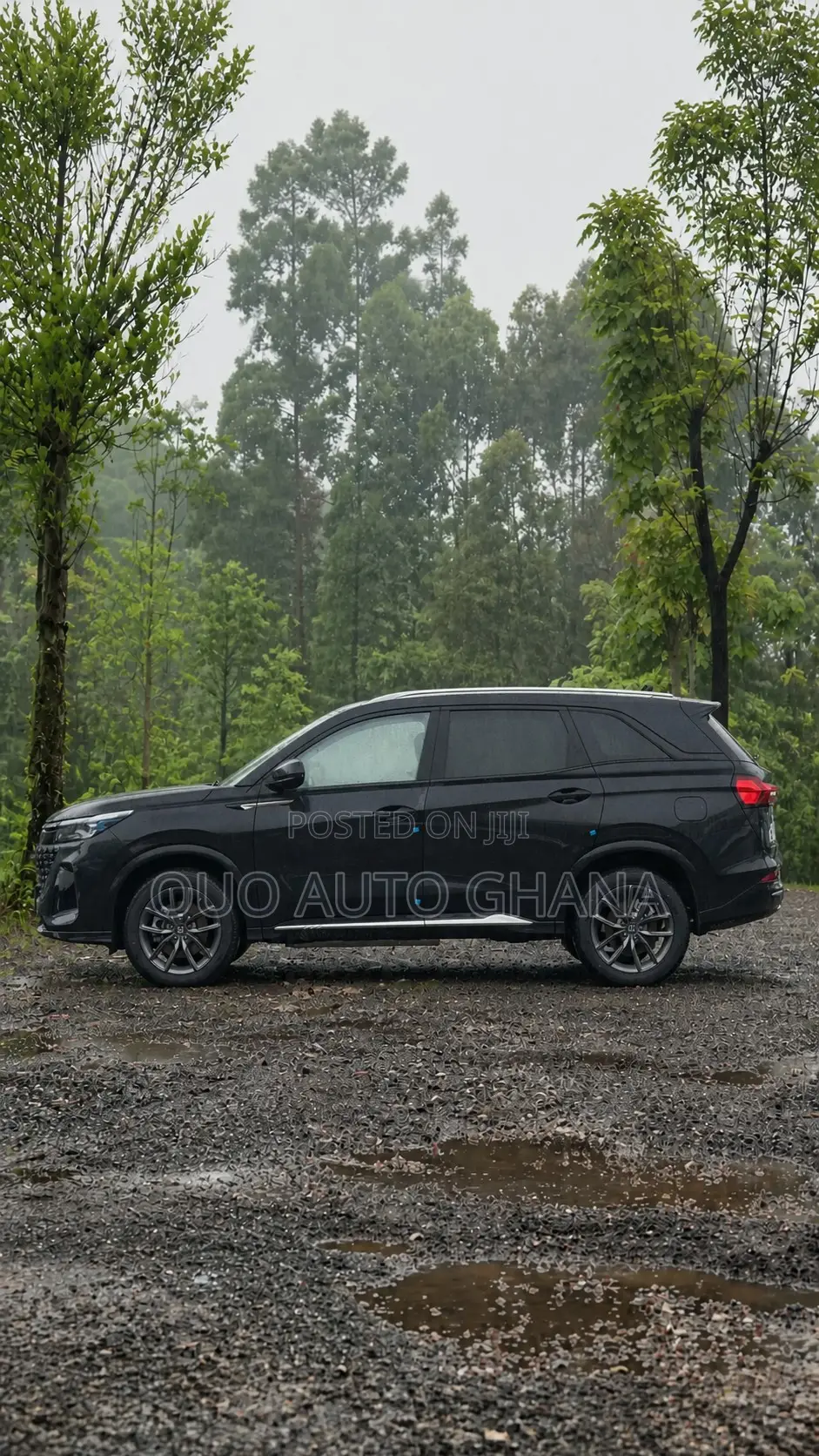 Dongfeng Rich 7 2024 Black