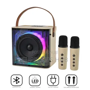 Portable Bluetooth Karaoke Speaker Machine With 2-Wireless Microphones
