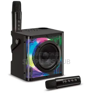 Portable Bluetooth Karaoke Speaker Machine With 2-Wireless Microphones