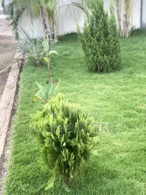 Garden and Landscaping