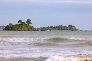 35 Acres of Island for Sale at Ada