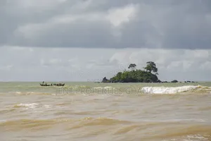 35 Acres of Island for Sale at Ada