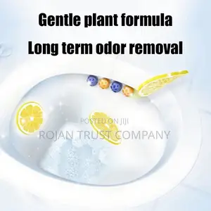 Toilet Cleaner