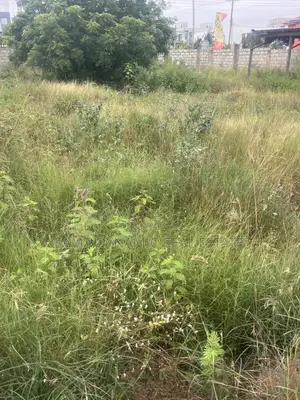 Land for Sale in Tseaddo, Around About