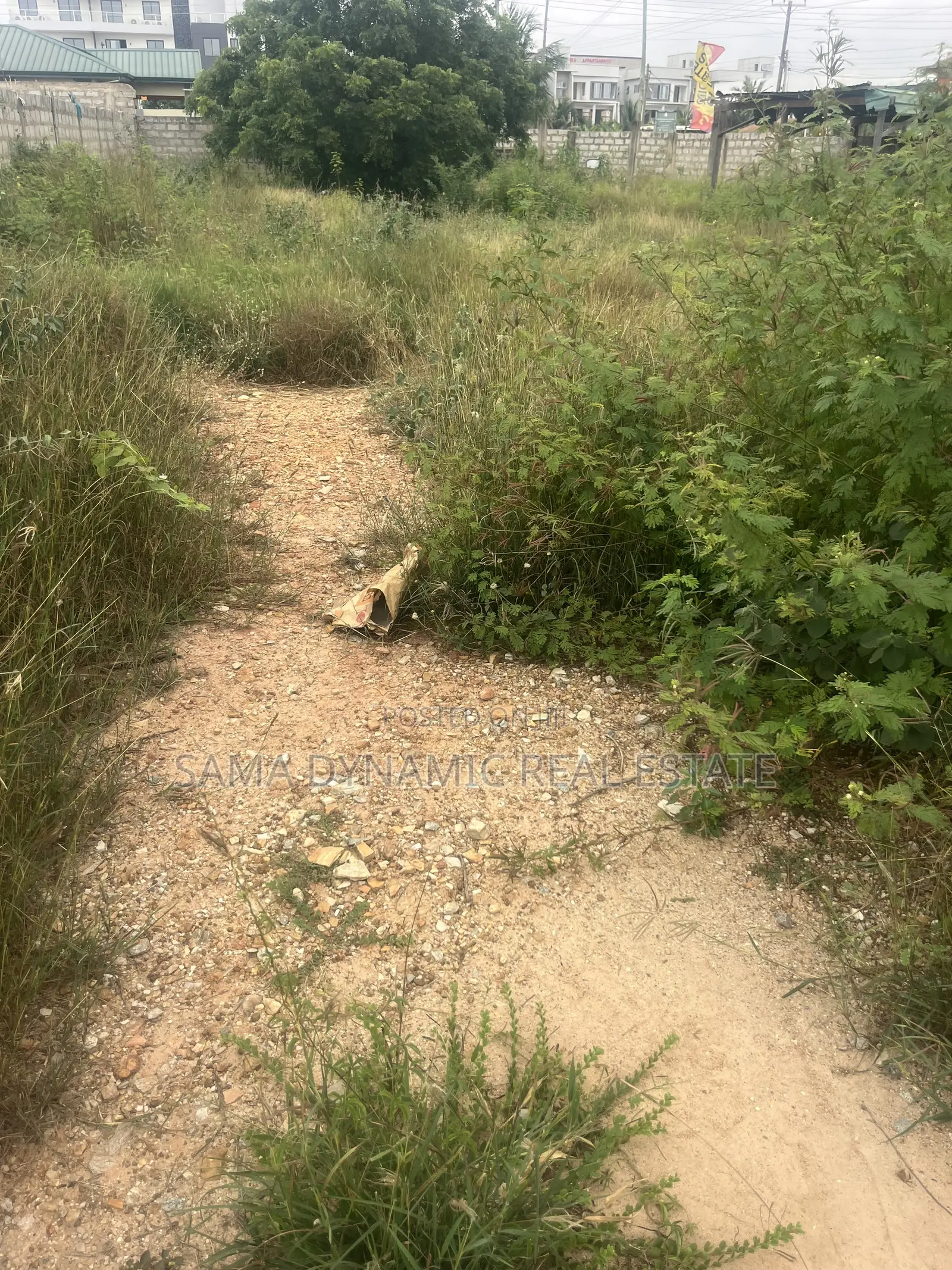 Land for Sale in Tseaddo, Around About