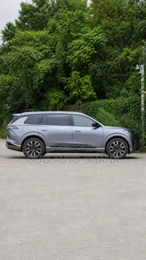 Dongfeng Yipai 008 2025 Gray