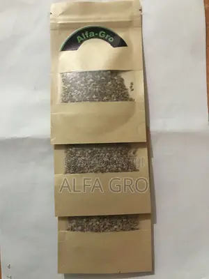 Vine Tomatoes Seeds(5g)