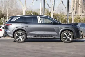 New BYD Tang DM-i 2025 Gray