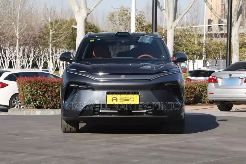 New BYD Tang DM-i 2025 Gray